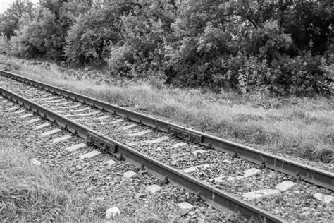 26900 Black And White Trains Stock Photos Pictures And Royalty Free