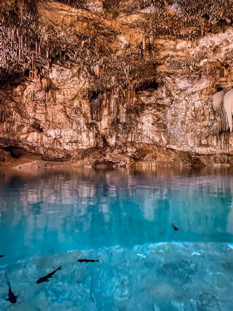 How To Visit Cenote Suytun In 2023 Mexicos Best Cenote