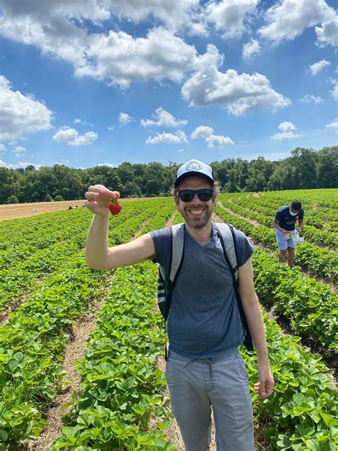 Strawberry Picking at Jones Family Farm: What You Need to Know ...