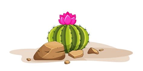 Premium Vector Cactus With Thorns And Stones Mexican Green Plant With