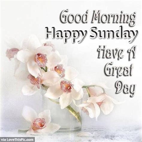 Good Morning Happy Sunday Image Pictures Photos And