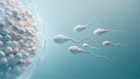 Sperm Movement Has Been Misinterpreted For 300 Years Earth