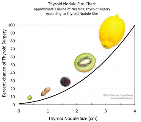 Get To Know Your Thyroid Its Function Boulder City Review