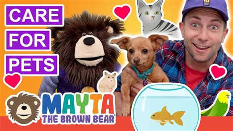 Teaching Kids To Care For Pets Videos For Toddlers Youtube