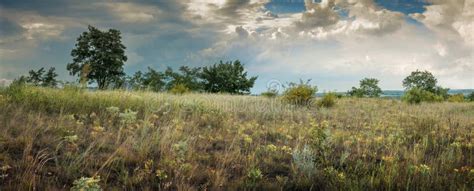 Steppe Landscape With Wild Vegetation Ukraine Donetsk Region Stock