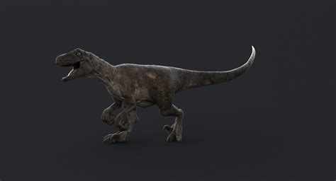 Realistic Velociraptor Rigged Raptor D Max Velociraptor D Model My Xxx Hot Girl