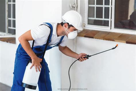 Affordable pest & rodent control solutions inc. How To Pests Control Near Me | Termite control, Pest ...
