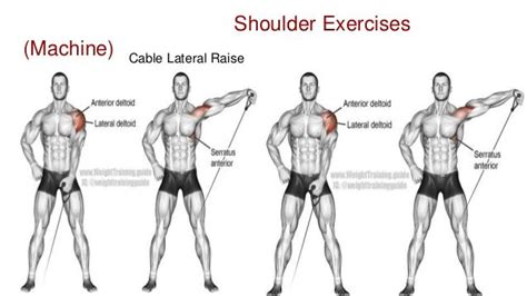 Shoulder Workouts On Cable Machine Shoulder Workout Shoulder