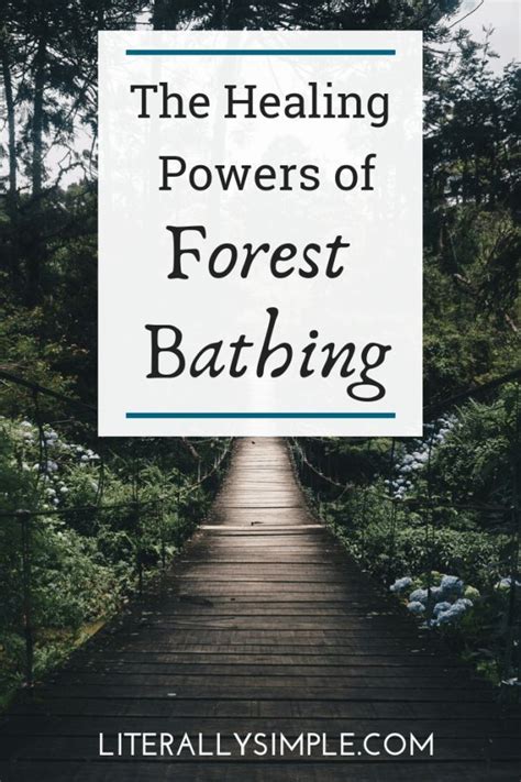 The Healing Powers Of Forest Bathing Artofit