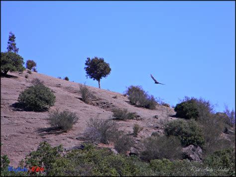 Foto de Alhué (Región Metropolitana), Chile