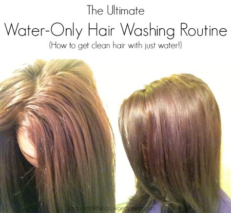 Either way, make sure you do a stand test before coloring your hair. All No Poo & Natural Hair Care Posts | Just Primal Things