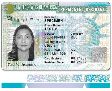 A green card allows a foreigner to gain permanent residence in the u.s. Green Card | SALDEF