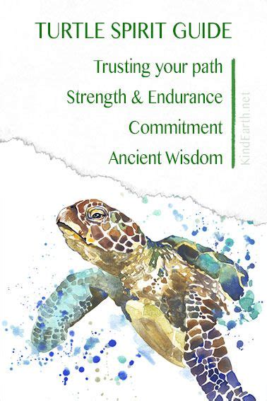Turtle Spirit Animal Guide Courage Staying True To Your Path