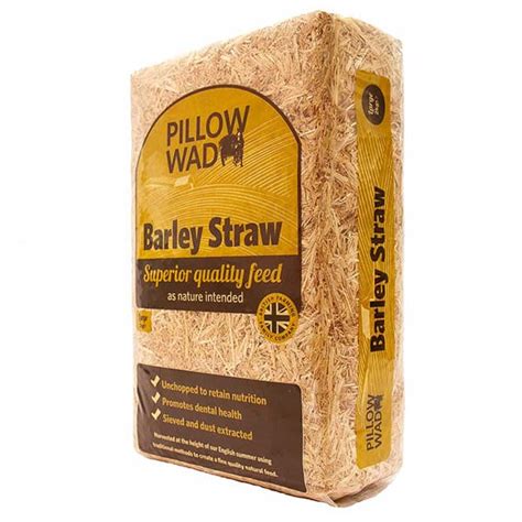 Pillow Wad Barley Straw Trusty Pet Supplies