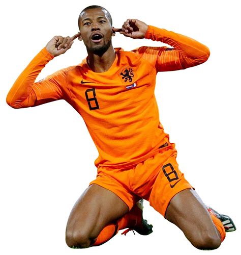 Fan page of the netherland international. Georginio Wijnaldum football render - 50164 - FootyRenders