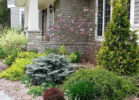 The arbor day foundation is a 501(c)(3) nonprofit conservation and education organization. Foundation plantings on Pinterest | Foundation Planting ...