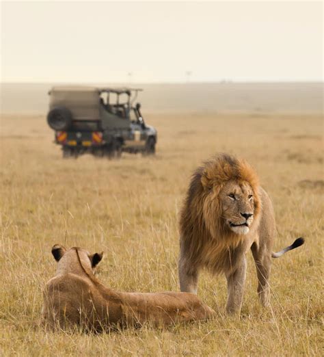 Best Serengeti Safaris 2021 2022 Zicasso