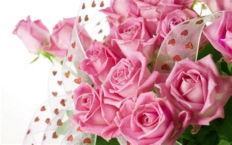 Pretty Pink Roses Wallpaper Pink Color Photo 34590797 Fanpop