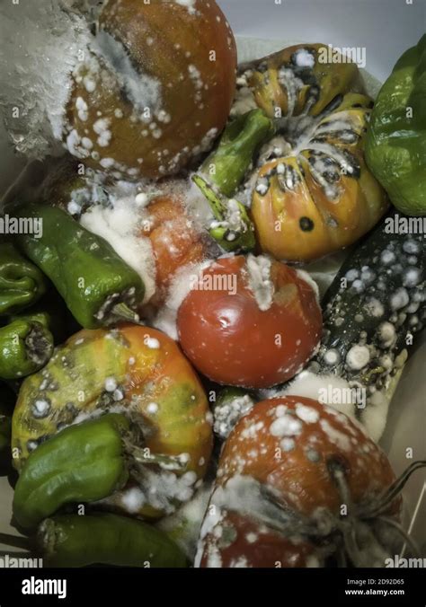 Rotten Fruits With Mold And Bacteria Food Poisoning Stock Photo Alamy