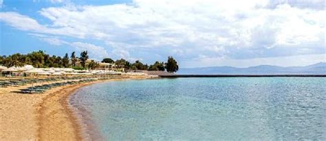 Le comptoir de messénie vous propose une sélection de produits naturels et bio grecs : Mon French Club en Grece Palmariva Beach 4*, Ile d'Eubee ...