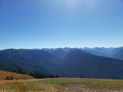 Hurricane Ridge Olympic National Park 2020 All You Need To Know