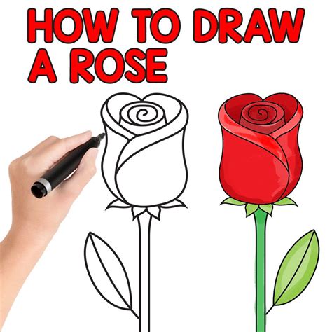 Https://tommynaija.com/draw/how To Draw A Basic Rose