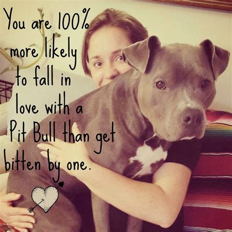 Pitbulls Pitbull Quotes I Love Dogs