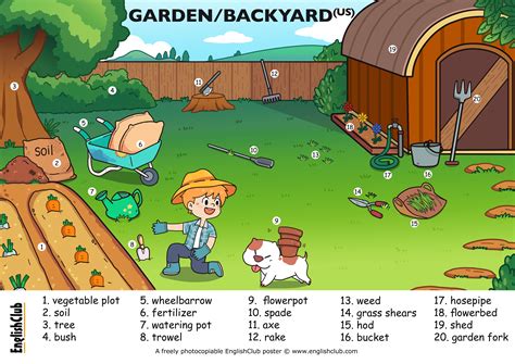 Illustrated Garden Backyard Learn English