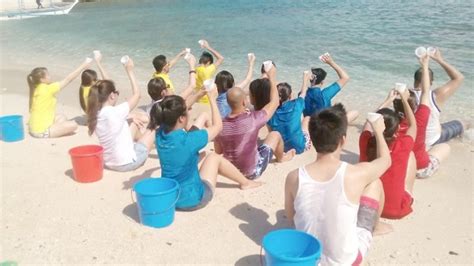 Team Building Activity Boost Productivity Anilao Diving Beach Resort