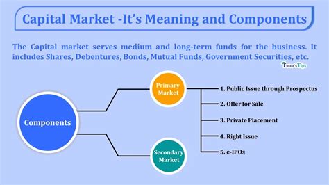 Capital Market Its Meaning And Components Tutors Tips