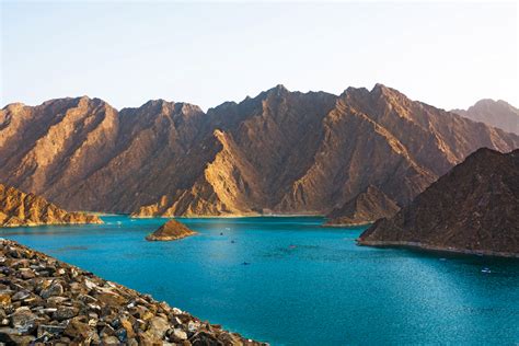 Uaes Connect With Nature Programme Launches Free Virtual Workshops For