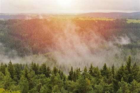 Misty Fog On Trees With Sun Czech Landscape Stock Image Image Of