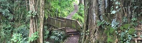 Makiki Valley Loop Trail Map Guide Oahu Hawaii Alltrails
