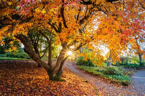 The Best Autumn Gardens To Visit Gardens Illustrated