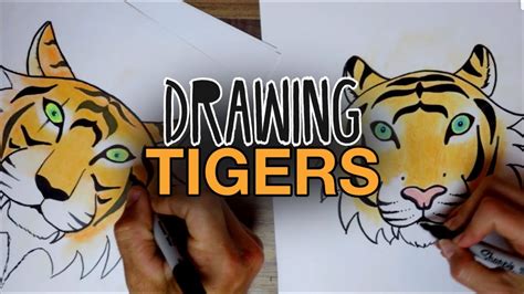 How To Draw A Tiger Step By Step Youtube
