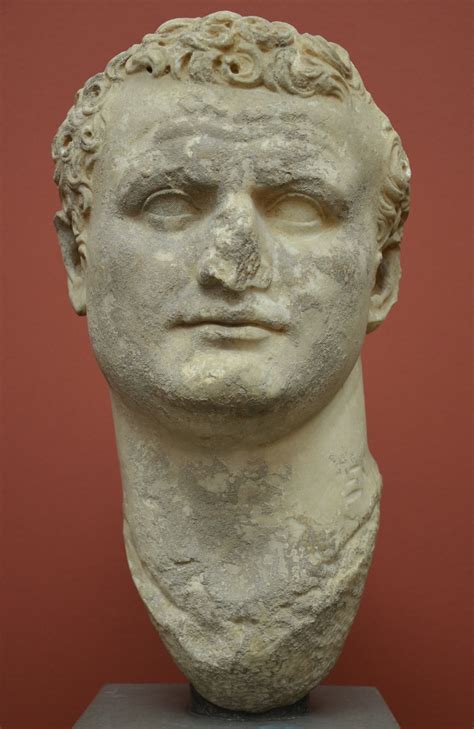 Roman Emperor Titus Illustration World History Encyclopedia