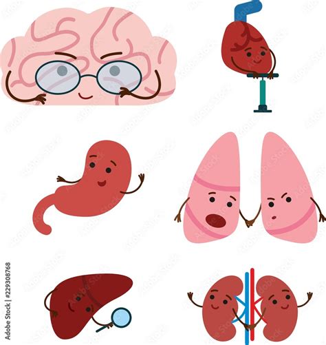 Cute Smiling Happy Human Healthy Strong Organs Set Vector Cartoon
