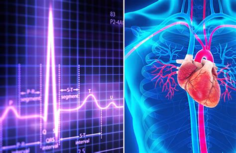 8 Types Of Fda Approved Devices That Treat The Heart Medical Design