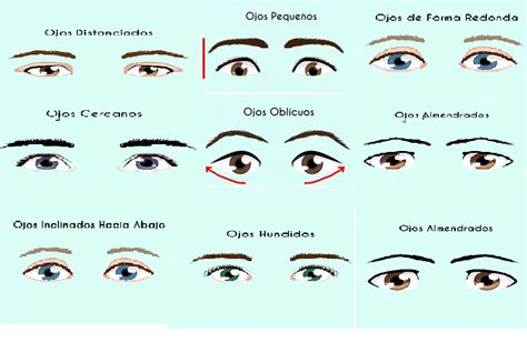 El Test De La Forma De Tus Ojos Puro Tip Artículos Masters Y Cursos