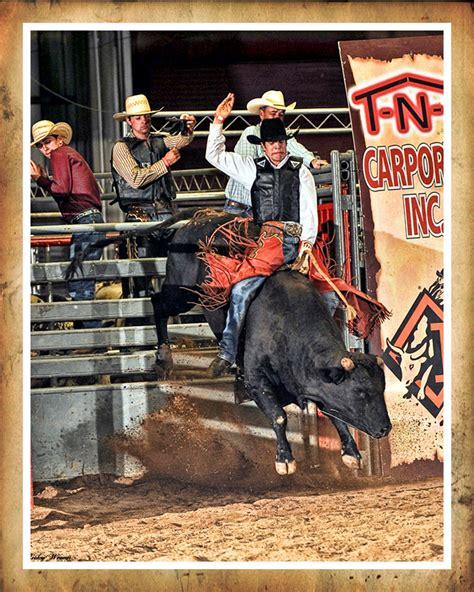 5.0 out of 5 stars little yellow jacket. Dale Cox Bucking Bulls,Photos