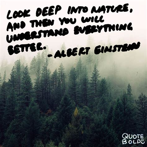 51 Best Nature Quotes To Inspire Your Day Quotebold