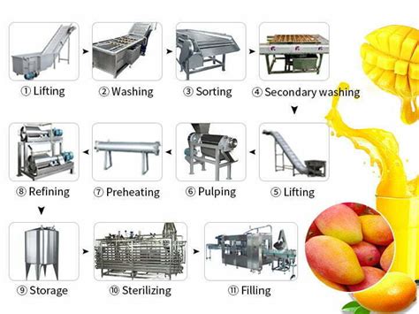 Mango Juice Pulp Production Line Mango Pulp Juicer Machine Taizy