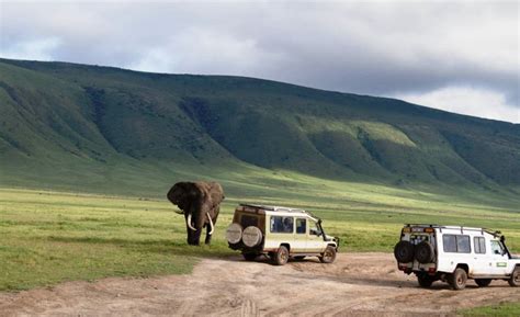 3 Days Ngorongoro Crater And Lake Manyara Camping Safari Vamos Africa