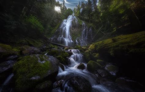 Обои лес ручей камни водопад мох Орегон каскад Oregon Proxy