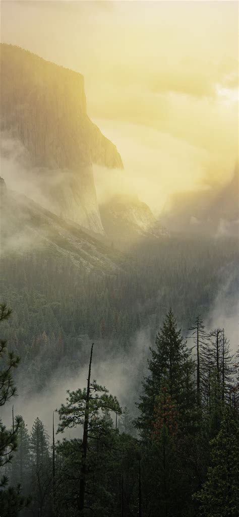 Yosemite National Park Beautiful View 5k Iphone 11 Wallpapers Free Download