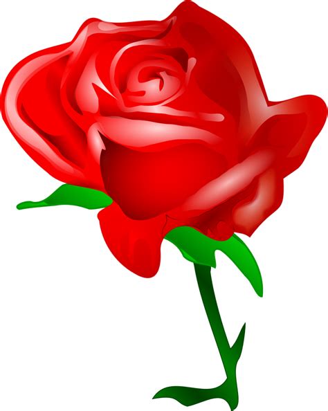 Rose Cartoon Image Free Download On Clipartmag