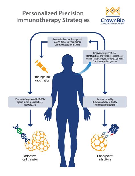 Personalized Cancer Immunotherapy