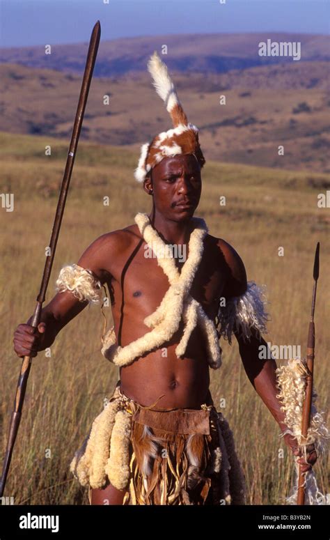 South Africa Kwazulu Natal Zulu Warrior In Traditional Dress With