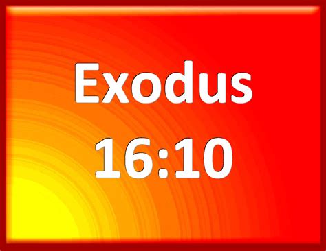 Exodus 1610 And It Came To Pass As Aaron Spoke To The Whole