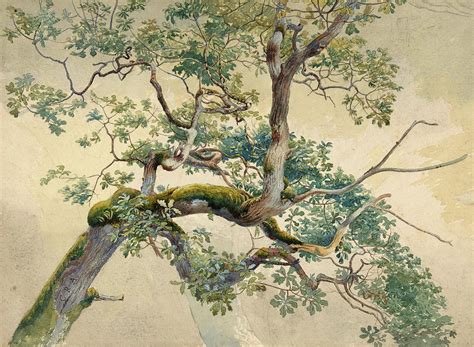 Tree Branches Painting By Charles Reginald Aston Fine Art America